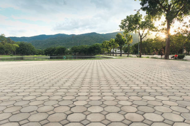 Best Concrete Paver Driveway  in Collegedale, TN
