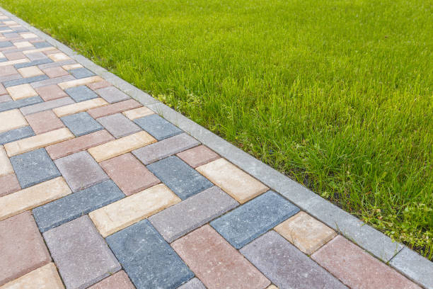 Best Professional Driveway Pavers  in Collegedale, TN